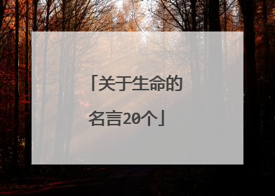 关于生命的名言20个