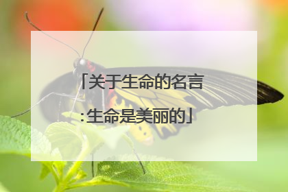 关于生命的名言:生命是美丽的