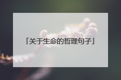 关于生命的哲理句子