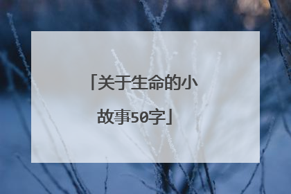 关于生命的小故事50字