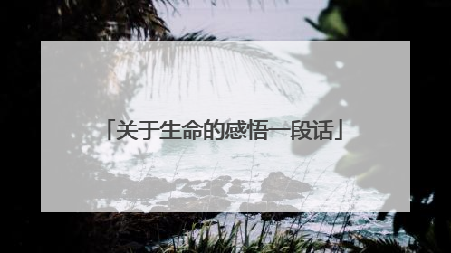 关于生命的感悟一段话