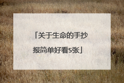 关于生命的手抄报简单好看5张