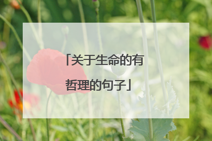 关于生命的有哲理的句子