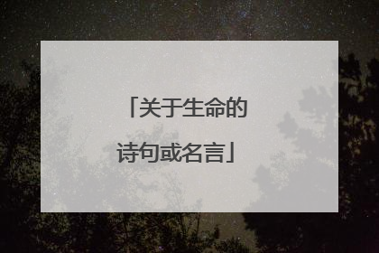 关于生命的诗句或名言