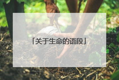关于生命的语段