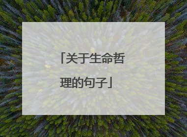 关于生命哲理的句子