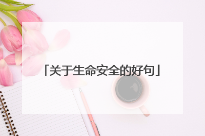 关于生命安全的好句