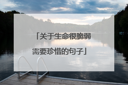 关于生命很脆弱需要珍惜的句子