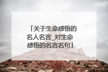 关于生命感悟的名人名言_对生命感悟的名言名句