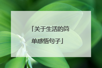关于生活的简单感悟句子