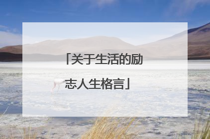 关于生活的励志人生格言