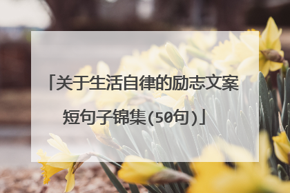 关于生活自律的励志文案短句子锦集(50句)