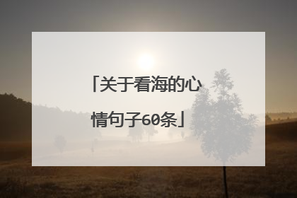 关于看海的心情句子60条