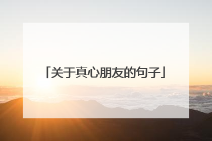 关于真心朋友的句子