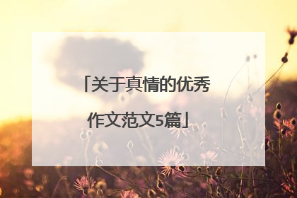 关于真情的优秀作文范文5篇