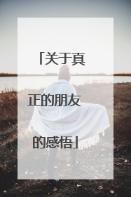 关于真正的朋友的感悟