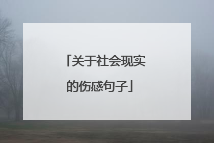 关于社会现实的伤感句子