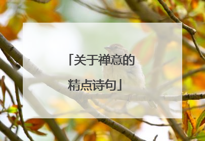 关于禅意的精点诗句