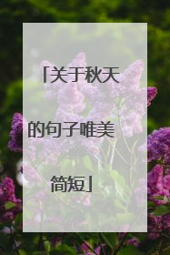 关于秋天的句子唯美简短