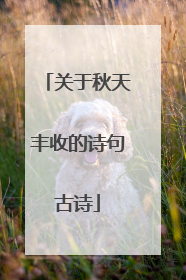 关于秋天丰收的诗句古诗