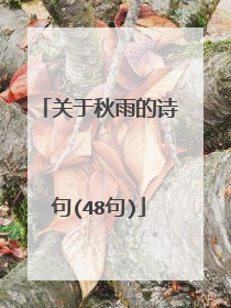 关于秋雨的诗句(48句)