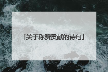 关于称赞贡献的诗句