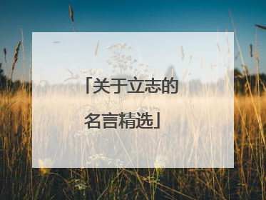 关于立志的名言精选