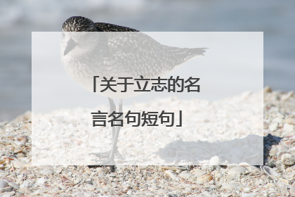 关于立志的名言名句短句