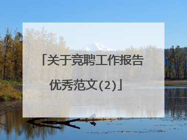 关于竞聘工作报告优秀范文(2)