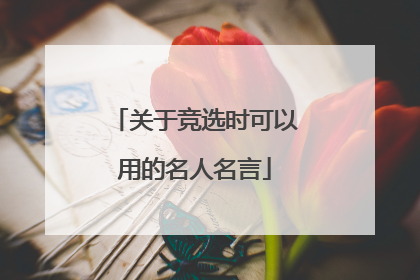 关于竞选时可以用的名人名言