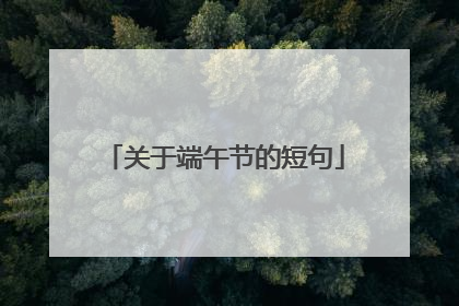 关于端午节的短句