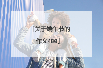 关于端午节的作文480