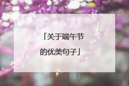 关于端午节的优美句子