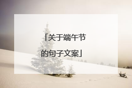 关于端午节的句子文案