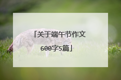 关于端午节作文600字5篇