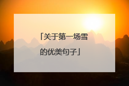 关于第一场雪的优美句子