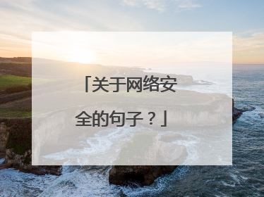 关于网络安全的句子？