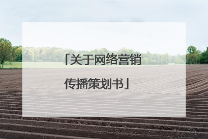 关于网络营销传播策划书