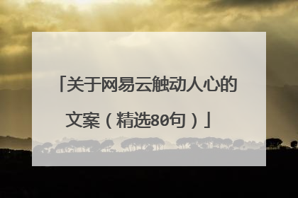 关于网易云触动人心的文案(精选80句)
