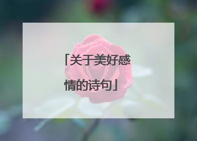 关于美好感情的诗句