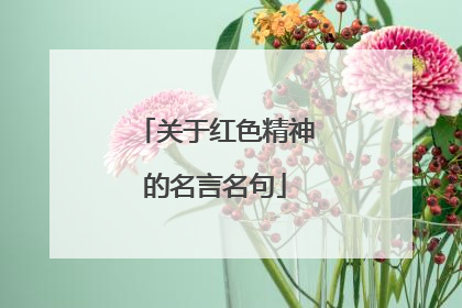 关于红色精神的名言名句