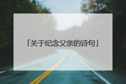 关于纪念父亲的诗句