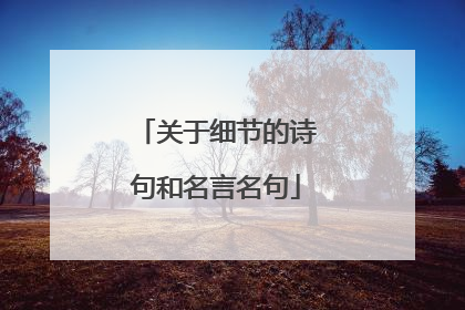 关于细节的诗句和名言名句