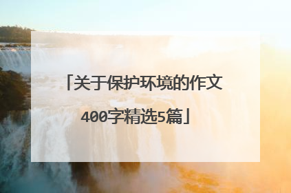 关于保护环境的作文400字精选5篇