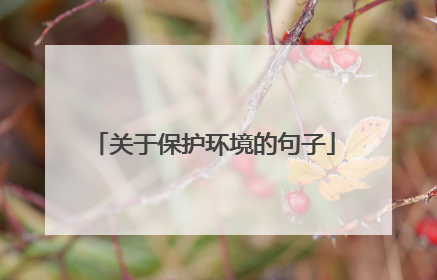 关于保护环境的句子