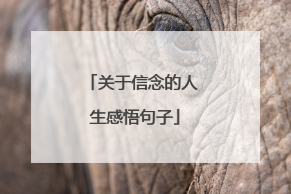 关于信念的人生感悟句子