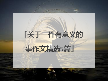 关于一件有意义的事作文精选5篇