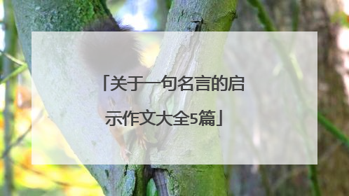 关于一句名言的启示作文大全5篇