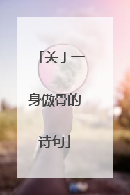 关于一身傲骨的诗句