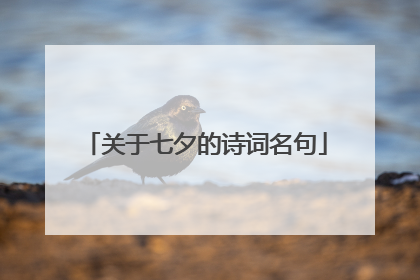 关于七夕的诗词名句